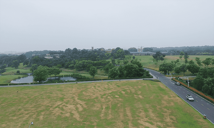 1561363530965810.png 02.png